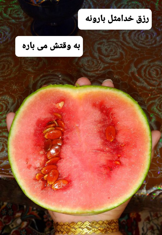 ازخوشمزه های محلی کویر🍉زندگی بالا و پایین زیادی دارد،
طوری