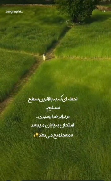 تسلیم و پذیرش