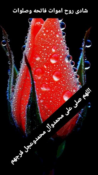 ‍ عصرپنجشنبه  و یاد درگذشتگان😔

🕯🖤🕯 🌹پنجشنبه است

یک 