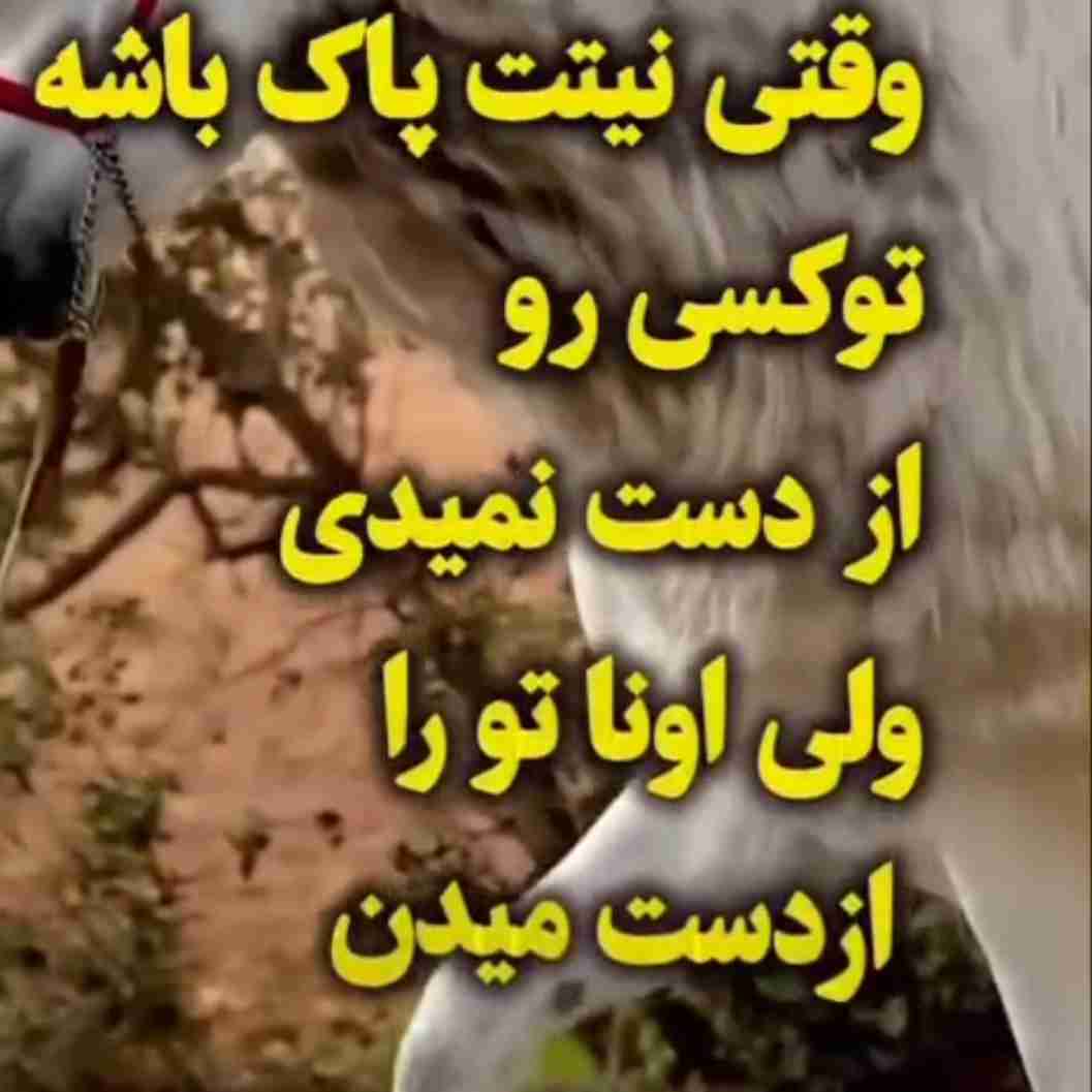 دقیقا 