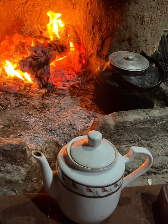 فراموش میشویی گویی که هرگز نبوده ای