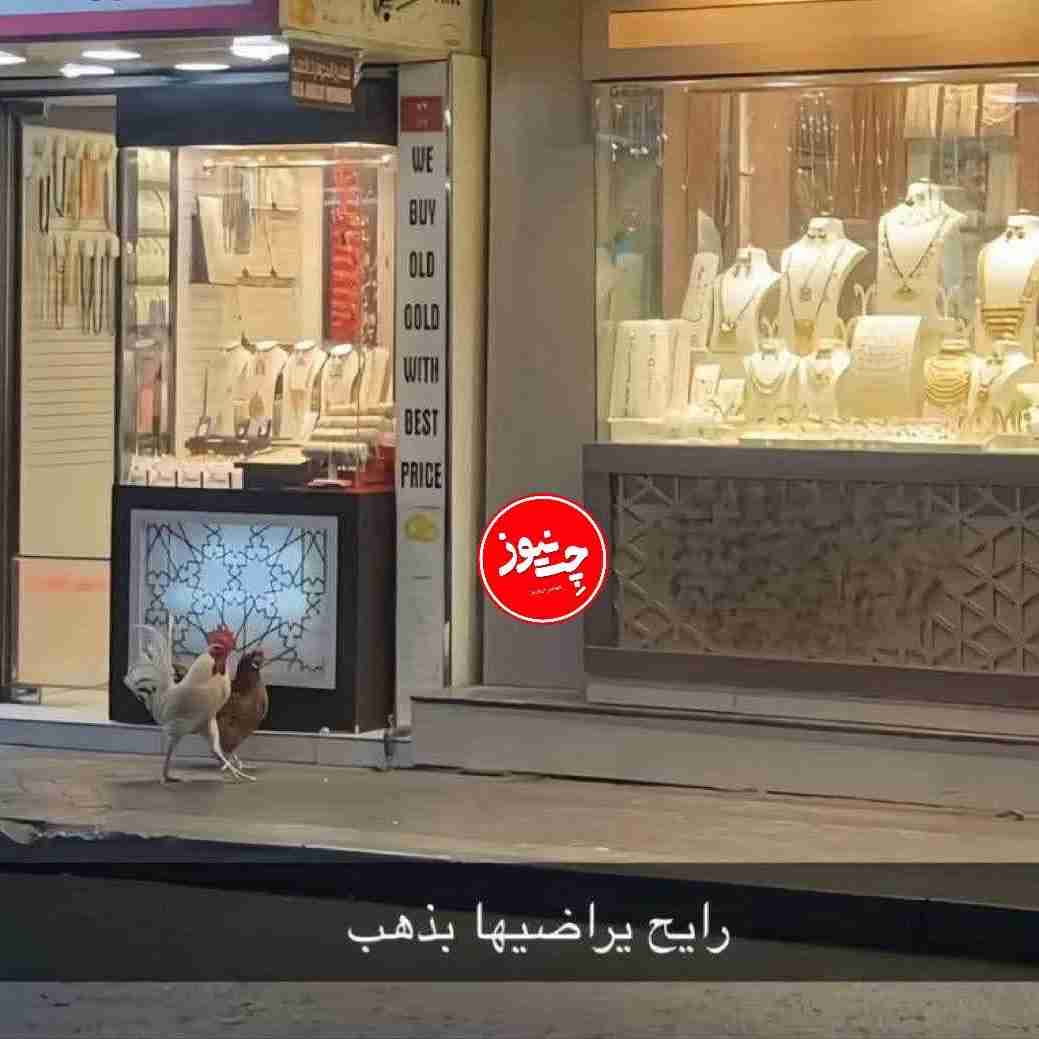 خروسه هم رفته برای  زنش طلا  بخره ولی.....خانمها بگن
