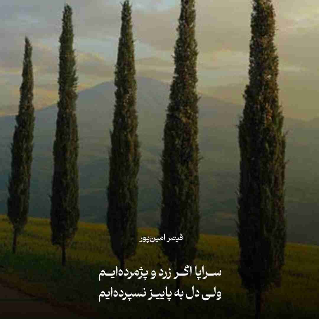 سراپا اگر زرد و پژمرده‌ایم
ولی دل به پاییز نسپرده‌ایم

قیصر امین‌پور 
