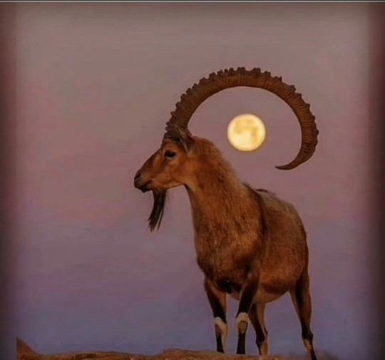 شب دوباره همانیم! غمگین، آزرده، تنها و ترسیده ازدنیا.. حتی