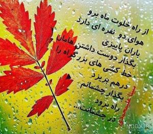 پاییززیبا🍁🍂🍁🍂♥️