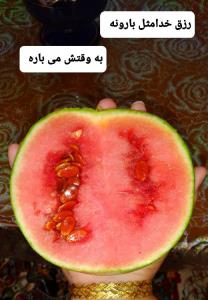 ازخوشمزه های محلی کویر🍉زندگی بالا و پایین زیادی دارد،
طوری