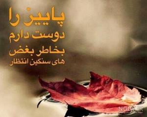 پاییزغم انگیز🍂🍁🍂🍁🍂🍂🍁🍁🍁