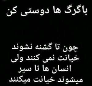 اخرین پست ۱۴۰۴مواظب باشید
