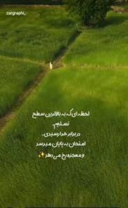 تسلیم و پذیرش
