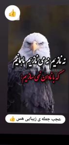 جمله زیبا 