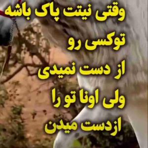 دقیقا 