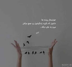 ،🌱🌱