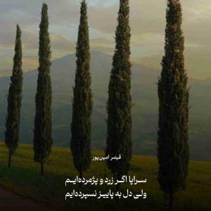 سراپا اگر زرد و پژمرده‌ایم
ولی دل به پاییز نسپرده‌ایم

قیصر امین‌پور 
