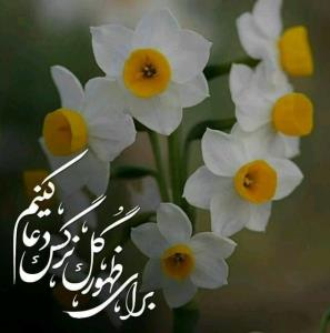 اللهم عجل لولیک الفرج