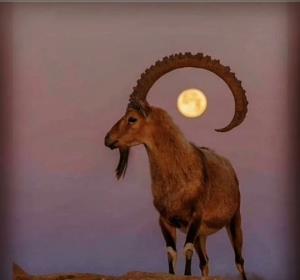 شب دوباره همانیم! غمگین، آزرده، تنها و ترسیده ازدنیا.. حتی