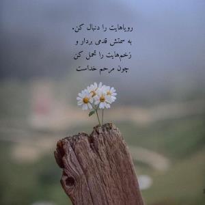 چون مرحم خداست 🙃