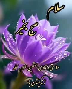 سلام وعرض ادب🍁🍁👆👆👆