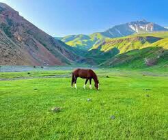 دشت زیبا دریوک 