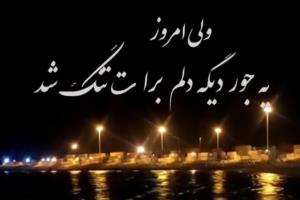 پس کی تموم میشه این دلتنگی های لعنتی 🥀
