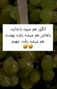 من که میرم جهنم باهاش😂😂👊🙆‍♂️