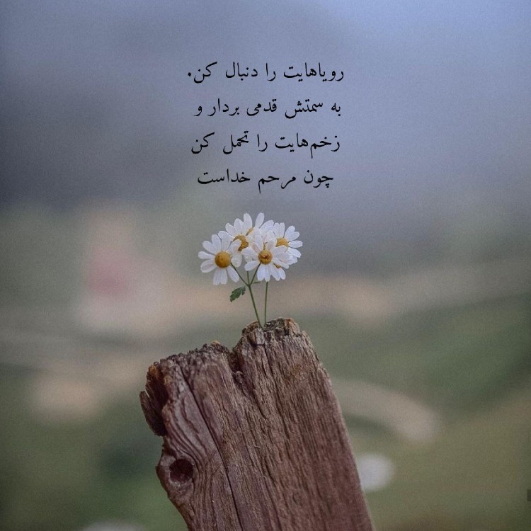 چون مرحم خداست 🙃