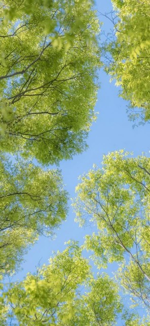 زندگی کوتاه است 