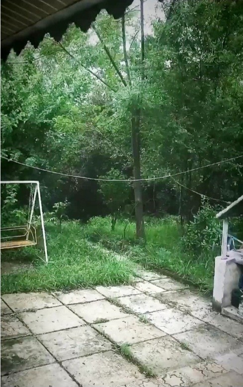 ب وقت ویلای بابابزرگ✌️