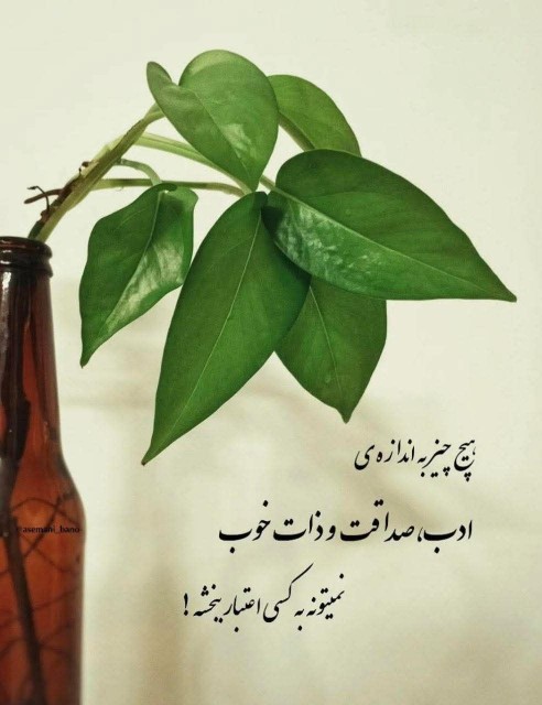 🎋 دنیا 
                دار مکافات است...!

🍀وقتی پرنده ای