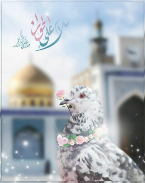 یا حضرت زینب کبرى سلام الله علیها 