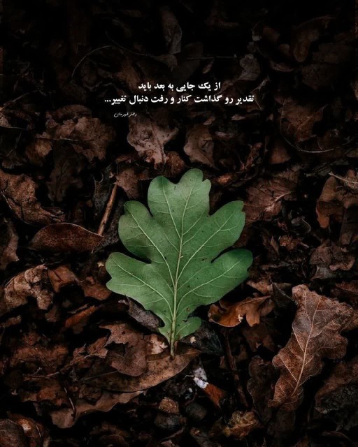 از یک جایی به بعد باید
تقدیر رو گذاشت کنار و رفت دنبال
تغییر