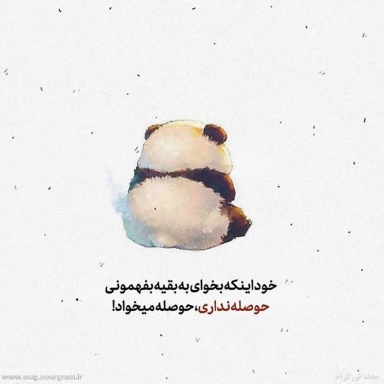 🐼🐼