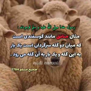 بهترین احادیث 