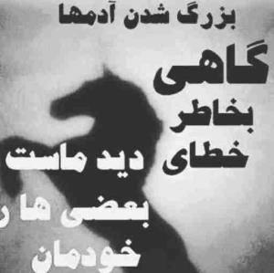 وقتی به یه مگس بال های پروانه رو بدی،
نه قشنگ میشه،نه میتونه باهاش پرواز کنه،ولی
میدونی دارم از چی حرف میزنم؟!
از اصالت...
بال و پر بیخود به کسی دادن اشتباست...
همه آدم ها ظرفیت بزرگ شدن را ندارند، اگر بزرگشان کنیم، 
گم می شوند و دیگر نه شما را می بینند و نه خودشان را،
بیاییم به اندازه آدم ها دست نزنیم...
