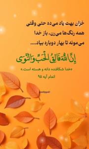 شبتون بی فکر !!