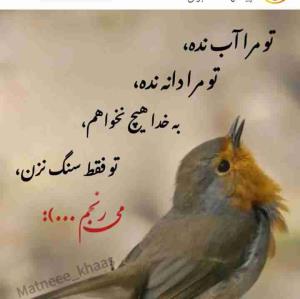 الحمدلله شکر 👌👌👌👌🕊🕊