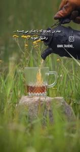 چای آتشی 