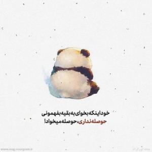 🐼🐼