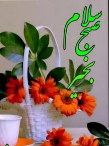 سعید