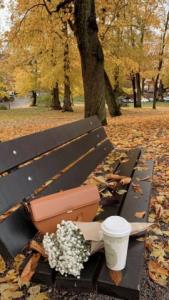 🍁این روزهای پایانی👇🏻
