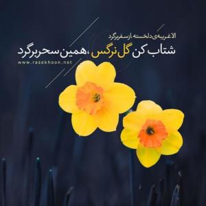 اللهم عجل لولیک الفرج 🌹