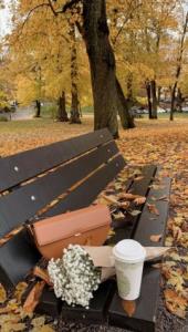 🍁این روزهای پایانی👇🏻