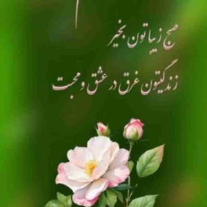 صبح جمعه تون بخیر وخوشی