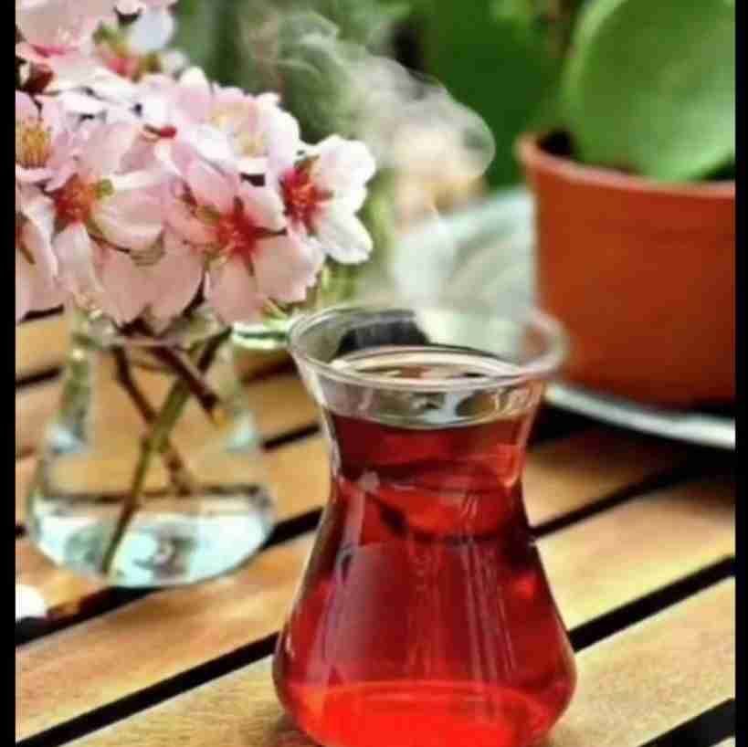 🌸🌱🌸🌱🌸🌱🌸
🌱🌸🌱🌸🌱🌸
🌸🌱🌸🌱🌸
🌱🌸🌱🌸
🌸🌱🌸
🌱🌸
🌸
    ســـــ🥰ـ✋ـــلام

صبح زیبـاتـون بـخیر🌸🍃
 آخرین جمعه تابستون
شما سرشار از
از مهربانی و اتفاقای🌸🍃
خـوب و دلنـشین ... 
امـیـدوارم امـروز   
خوشبختی سلامتی🌸🍃
پیشرفـت 
و روزی فـراوان ...🌸🍃
نصیب تـون بشه

روزتـون قشنگ🌸🍃