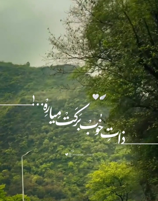 امان از ذات خراب 
