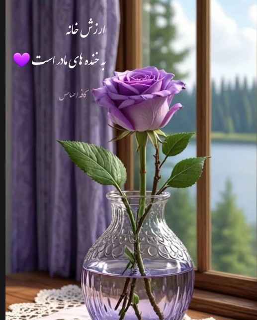 🌺