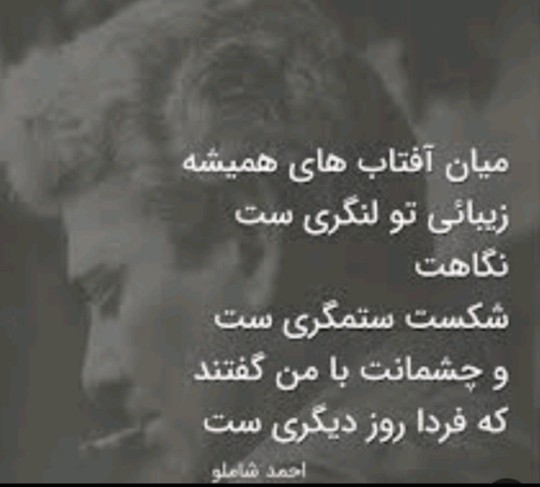 شعر 