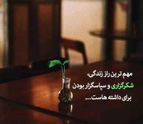 الهی شکرت💚
