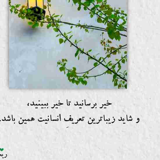 شبتون غرق آرامش