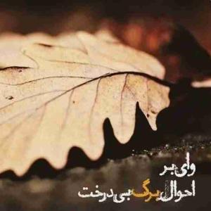 ‌دلتنگم...درست مثل حال درختان شهریور که از ترس پاییز محکم دست برگها را گرفته اند اما...امان از پاییز که رنگ ها را عوض می کند عشق ها را عاشقانه تر می کند زمین را تر می کند تنها را تنهاتر...و‌ دلتنگ را دیوانه تر😔🍂
‌‌‎‌‎‎‌ ‎‌‌‌‌‎‌‌‌‌‎‌‌‌‌‎‌‌‌‌‎‌‌‎‌‌‌‌‎‌‌‌‌‎‌‌‌‌‎‌‌‌‌‎‌‌‌‌‎‌‌‌‌‎‌‌‎‌‌‌‌‎‌‌‌‌‎‌‌‌‌‎‌‌‌‌‎‌‌‌‌