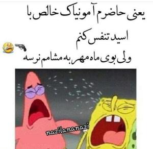 😅😅😅